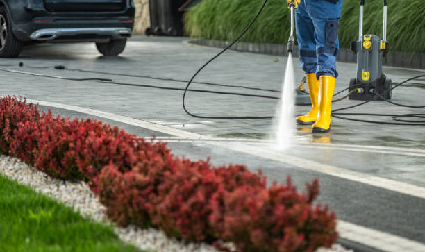 Playground Equipment Cleaning in Lake Fenton, MI